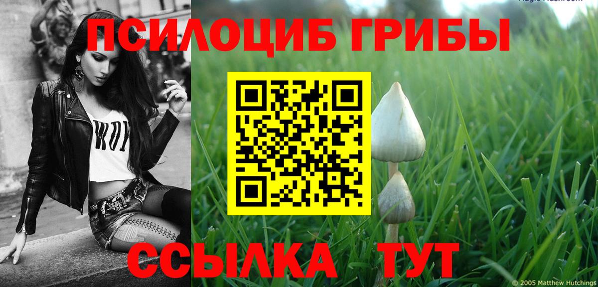 Калач-на-Дону  Галлюциногенные грибы Psilocybine cubensis  купить  сайты  Вход с VPN 